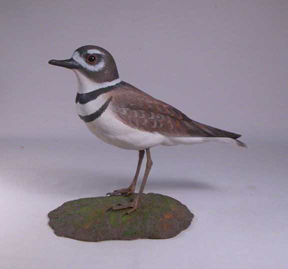 Killdeer Orig Backyard Bird Carvings Water Bird Birdhug