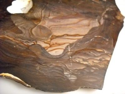 Loveland Striking Original Blue Biggs Jasper Slab