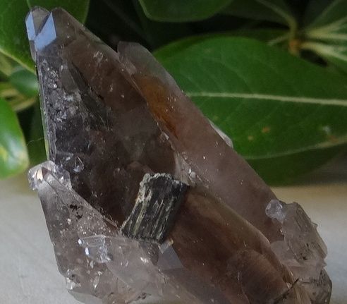 Smoky Quartz with Aegerine Specimen from Malawi