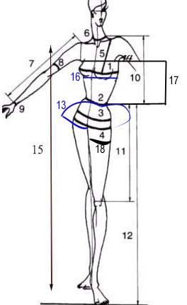 women measure chart inch or cm