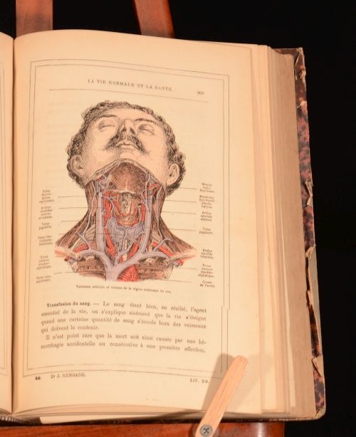 details a medical book on physiology and the role of the organs in the