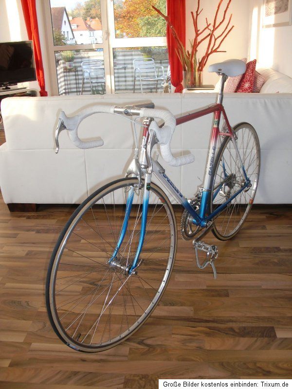 Gazelle Champion Reynolds 531C Vintage Road Bike Campagnolo Croce D