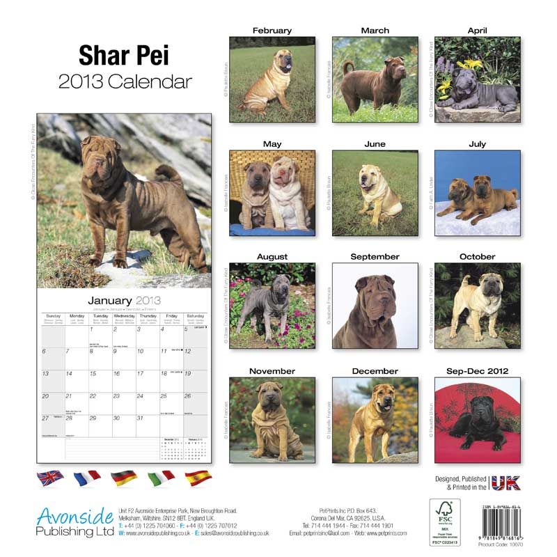 Kalender 2013 Shar Pei   chinesischer Faltenhund