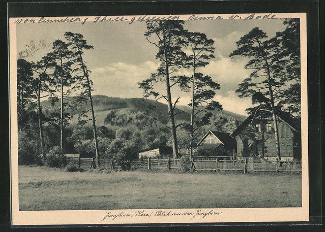 alte AK Stapelburg Jungborn, Teilansicht 1937