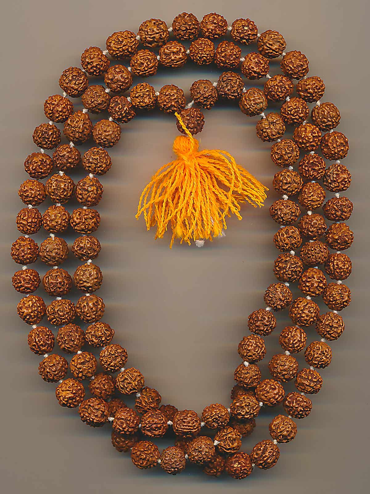 Mala Halskette Haridwar Indien (11mm) Rudraksha Samen 62b