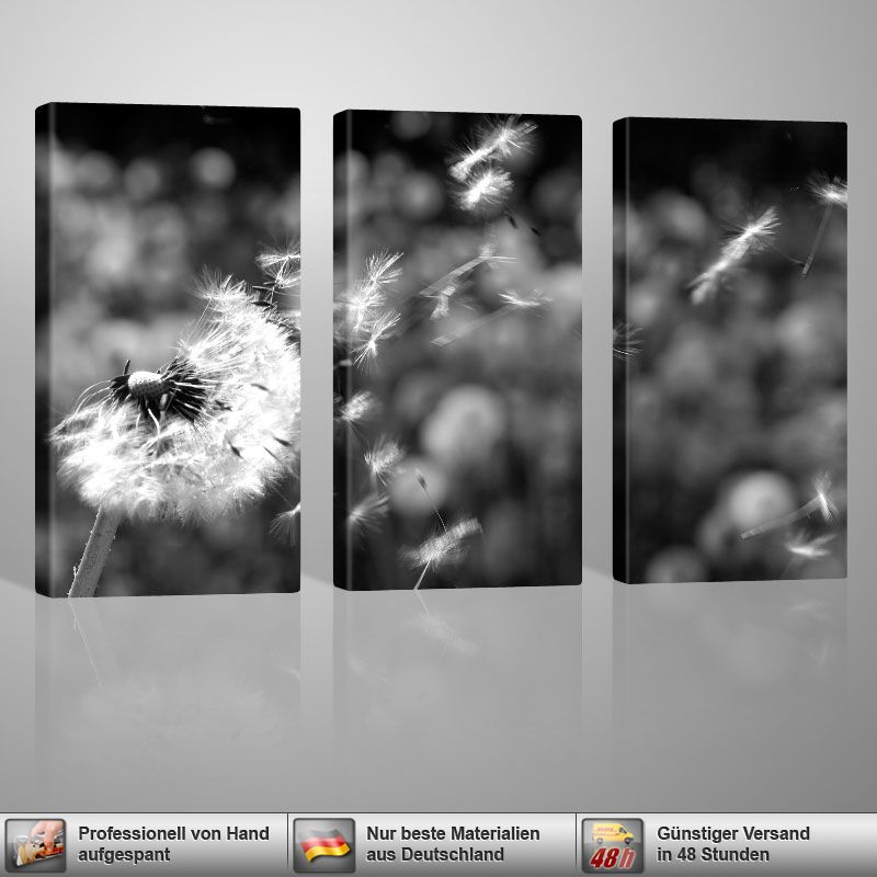 Dandelion LEINWANDBILD 3x 40x80cm GALVII Pusteblume Art