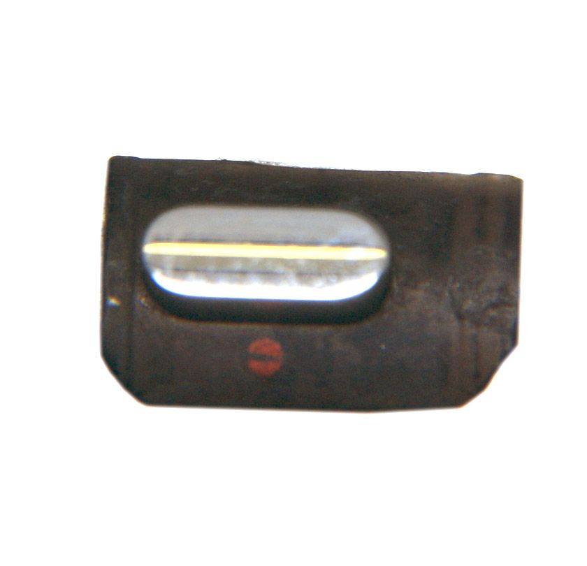 iPhone 3G 3GS Mute Switch Stumm Regler Button