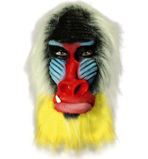 Rubber Overhead Mask   Baboon   Rafiki Fancy Dress