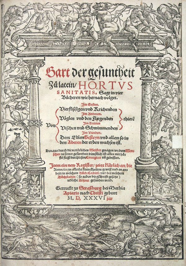 GART DER GESUNDHEIT HORTUS SANITATIS STRASSBURG 1536