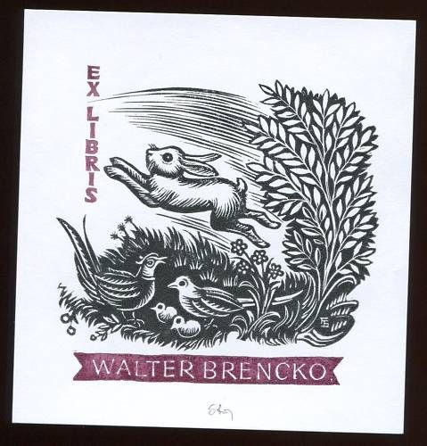 EXLIBRIS,426,Franz Stummvoll   Hase