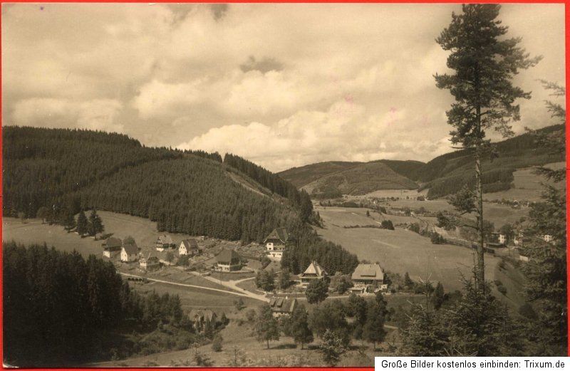 Ansichtskarte vor 1945   Neustadt Schwarzwald Teilansicht um 1930