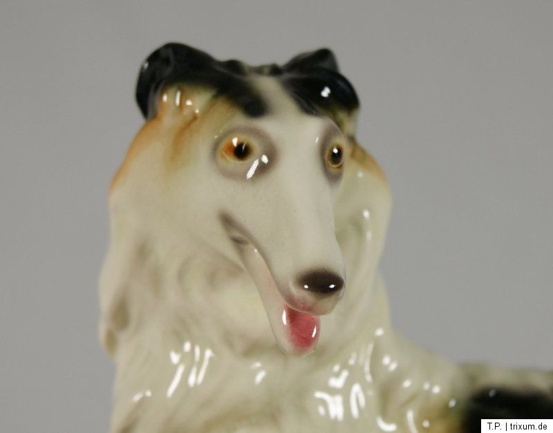 Barsoi Borzoi Russische Windhunde