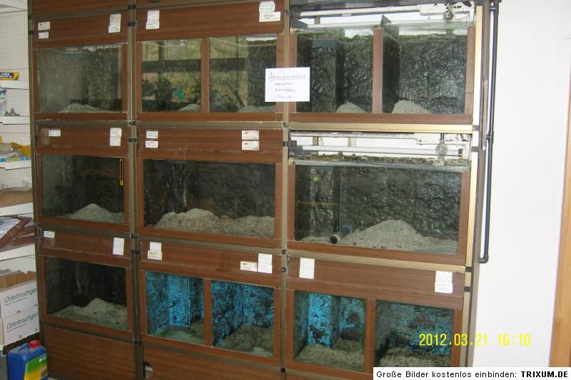 Aquarienanlage,33 Becken,Überlauffiltersystem,Zuchtanlage,