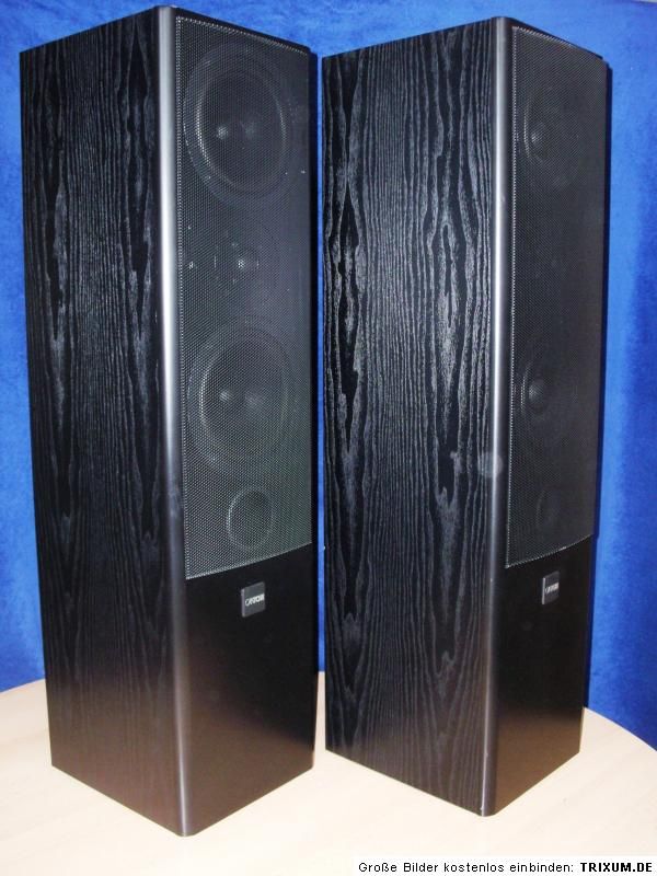 Canton Nestor 603 Hifi  Standlautsprecher Esche Schwarz