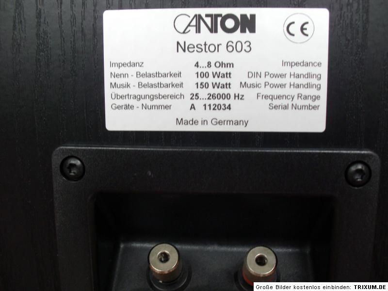 Canton Nestor 603 Hifi  Standlautsprecher Esche Schwarz