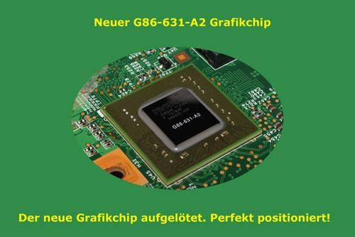 Medion Akoya MD96630 Mainboard / Grafikchip Reparatur