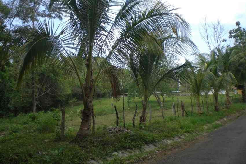 000m² Flußgrundstück/Bauland/Titel im Paradise Panama